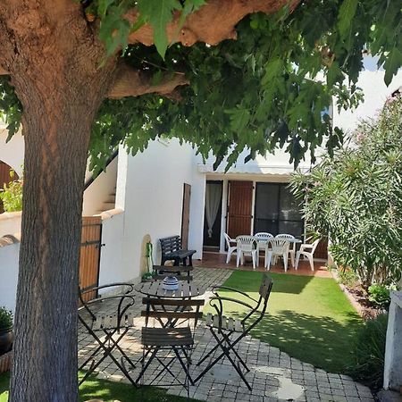 Petit Appartement Aux Stes Maries De La Mer แซ็งต์-มารี-เดอ-ลา-แมร์ ภายนอก รูปภาพ
